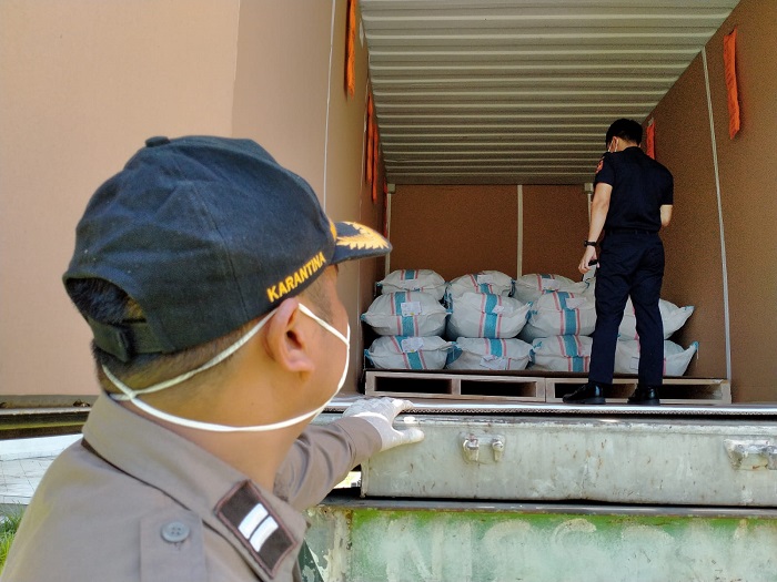 Kualitas Terjamin, Kakao Jembrana Tembus Pasar Jepang, Eropa hingga Amerika