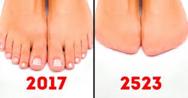 15 Human Body Parts That Will Disappear One Day