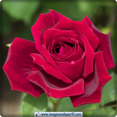 My Image 9
