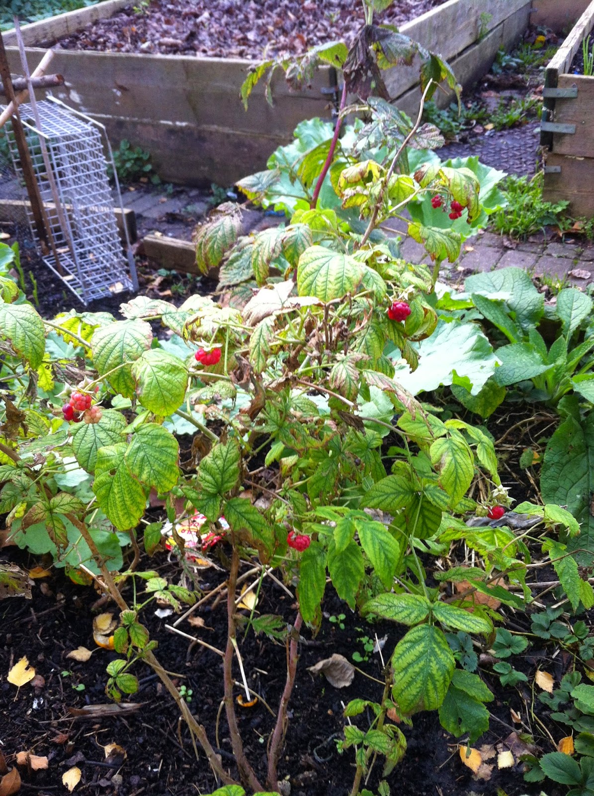 Fresh eyes on London: Ted gives a Bronx cheer