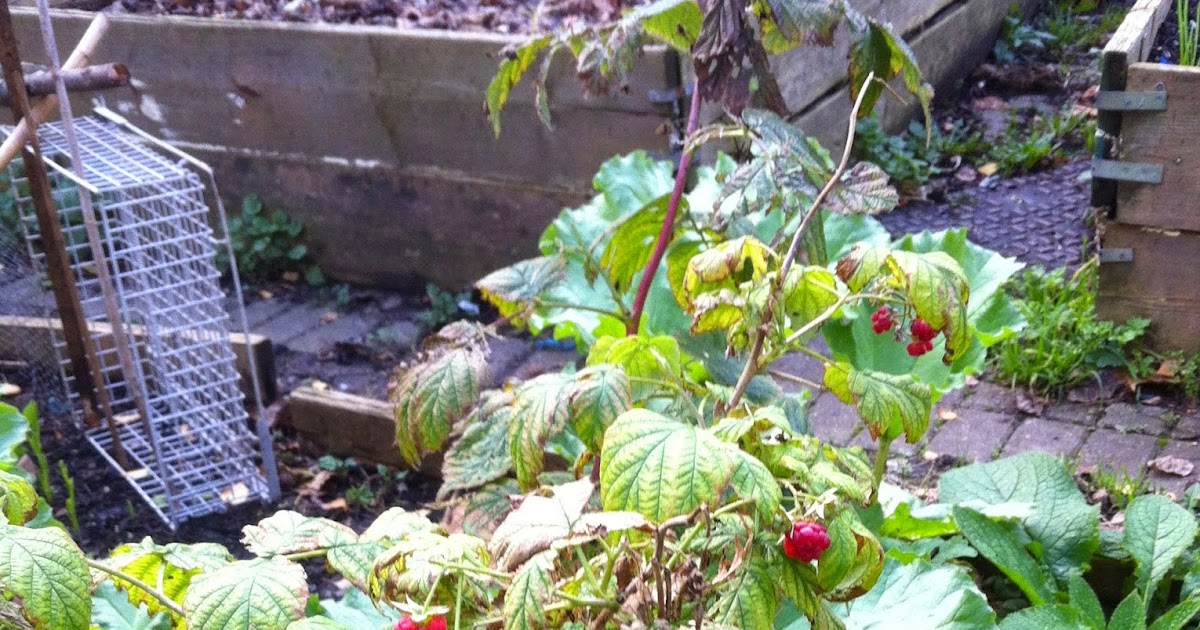 Fresh eyes on London: Ted gives a Bronx cheer