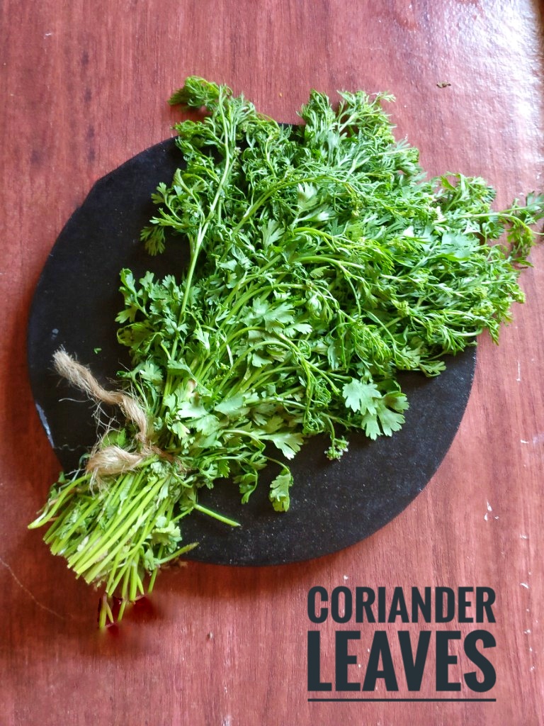 Veg Indian Cooking How to keep coriander leaves fresh in the