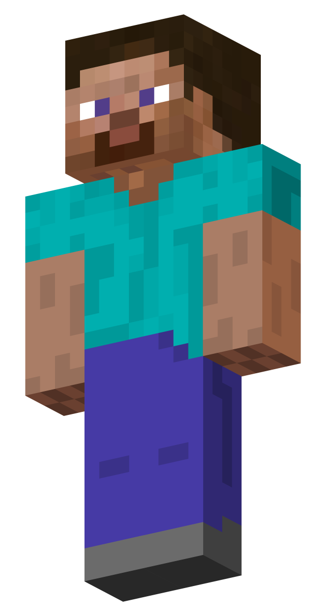 Why Is My Skin Steve In Minecraft