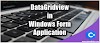 How to Bind DataGridView in Windows Form Application