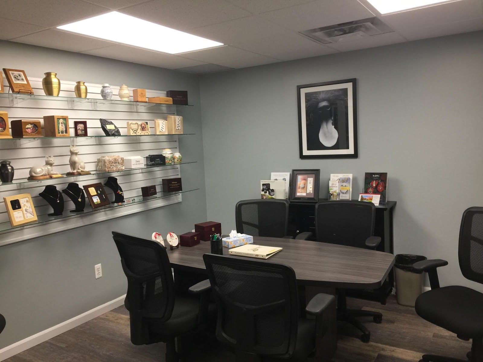 Detroit Veterinarian Veterinary Clinic Blog Harvey Animal Hospital