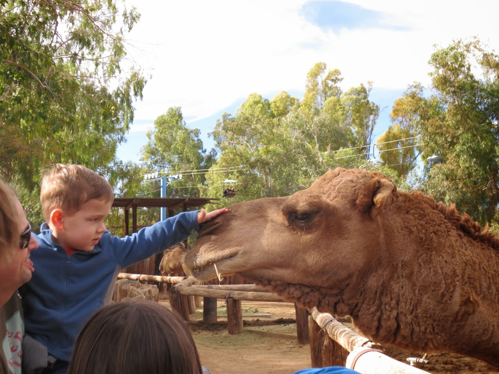 Team Kingman Part 2 Phoenix Zoo
