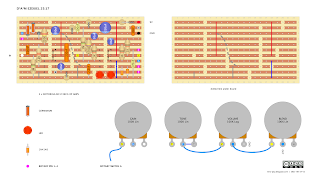 Guitar Effects - Vero - Point to Point - Tag Board Layouts: D*A*M ...