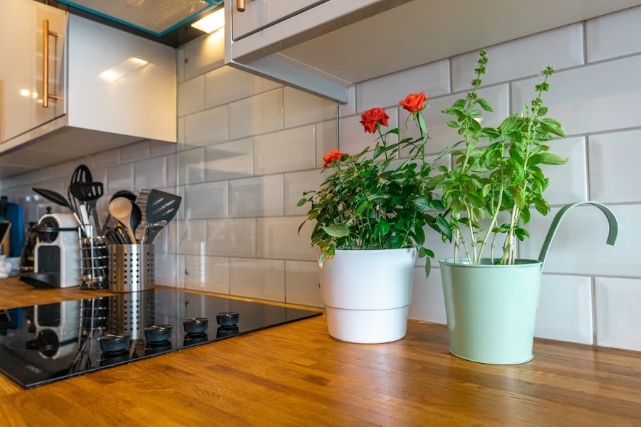 decorar una cocina pequeña con plantas aromáticas