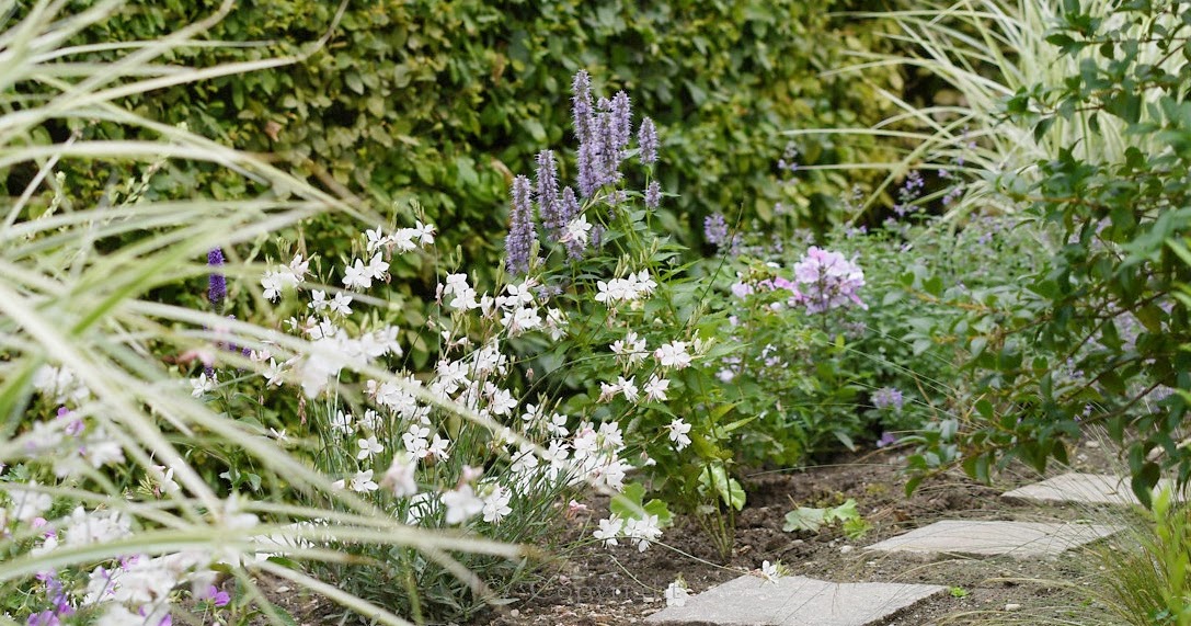 Garten Liebe Mein Kleines Wolkenbeet