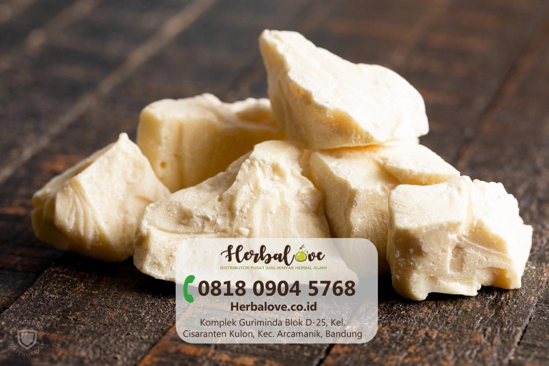 supplier cocoa butter Bandar Lampung” height=