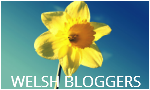 Welsh blogger