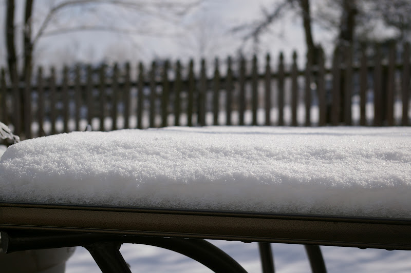 Living Thru Faith March Snow in Kentucky