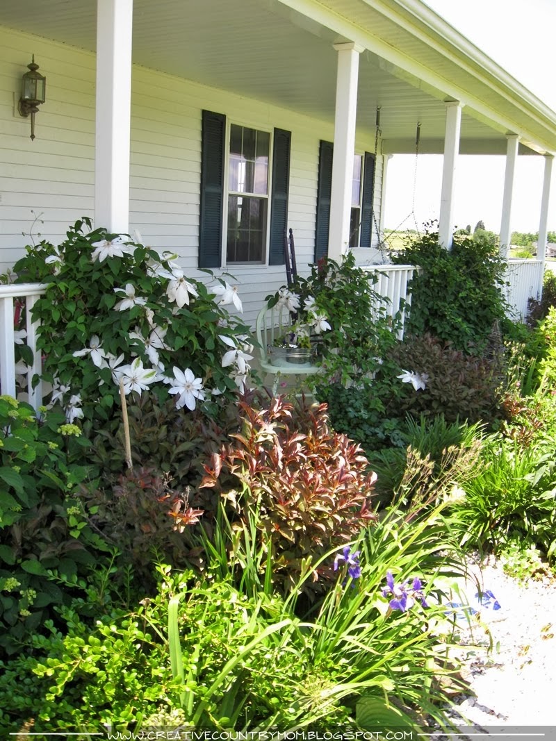 Suddenly Southern : The Farmhouse Garden