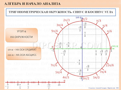 Тригонометрическая окружность. Синус и Косинуc. Плакат по Алгебре и Началам Анализа