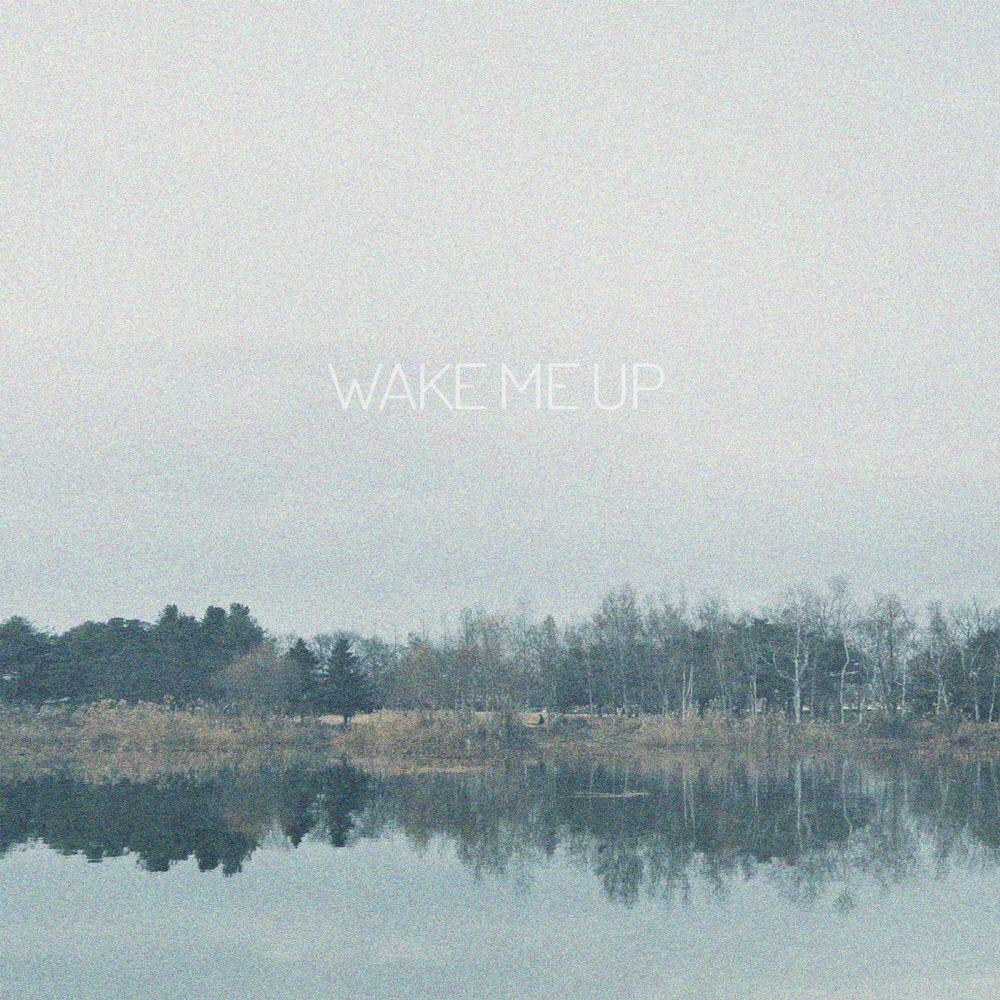 E the – Wake Me Up – Single
