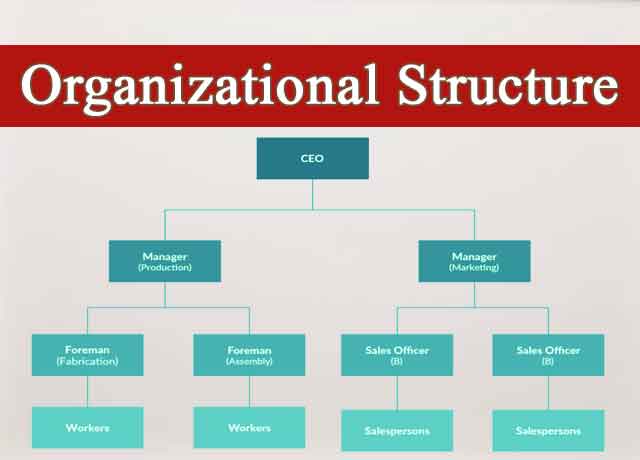 5 Types Of Organizational Structure