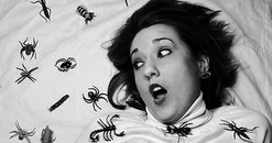 Phobia Serangga