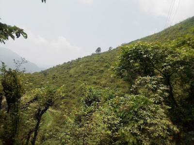 Agriculture Land 1200Nali Kabarasakara,  Satpuli Road, Uttarakhand