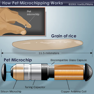 Diagram showing how a pet microchip works