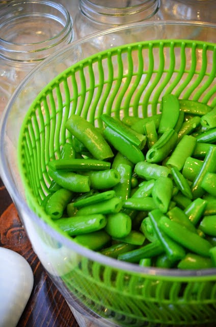 Cómo cultivar y conservar guisantes caseros 2021 Cómo cultivar y conservar guisantes caseros
