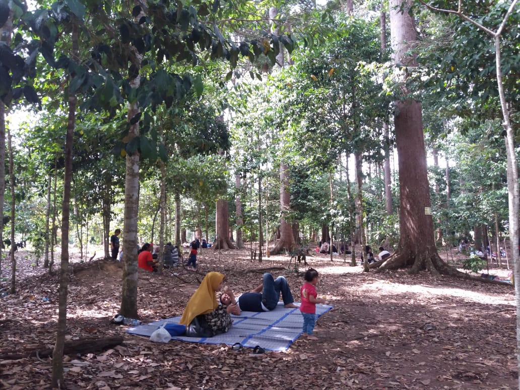 Materi Esensial Kelas 6 Tema 2 Subtema 3