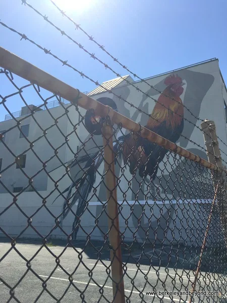 rooster mural by Dave Young Kim and Erik T. Burke at Jack London Square in Oakland, California