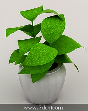 free 3d model plant