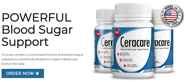 Ceracare Review - type 2 diabetes and blood sugar support