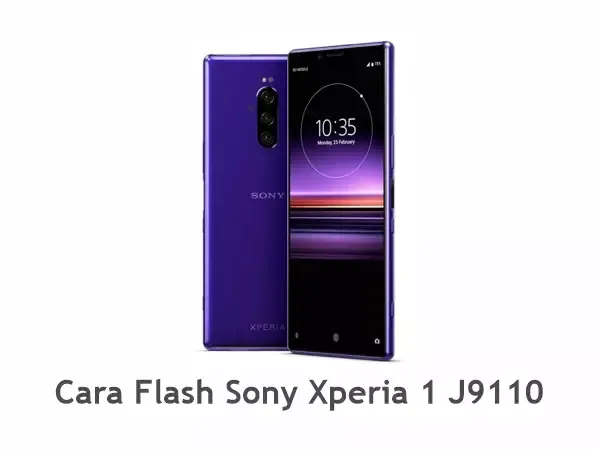 Flash Sony Xperia 1 J9110