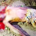 হাতীবান্ধায় কৃষক আব্দুল মালেককে পিছন থেকে কোপ দিয়ে জখম.
