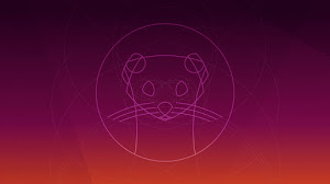 Ubuntu 19.10 e flavours ufficiali disponibili al download