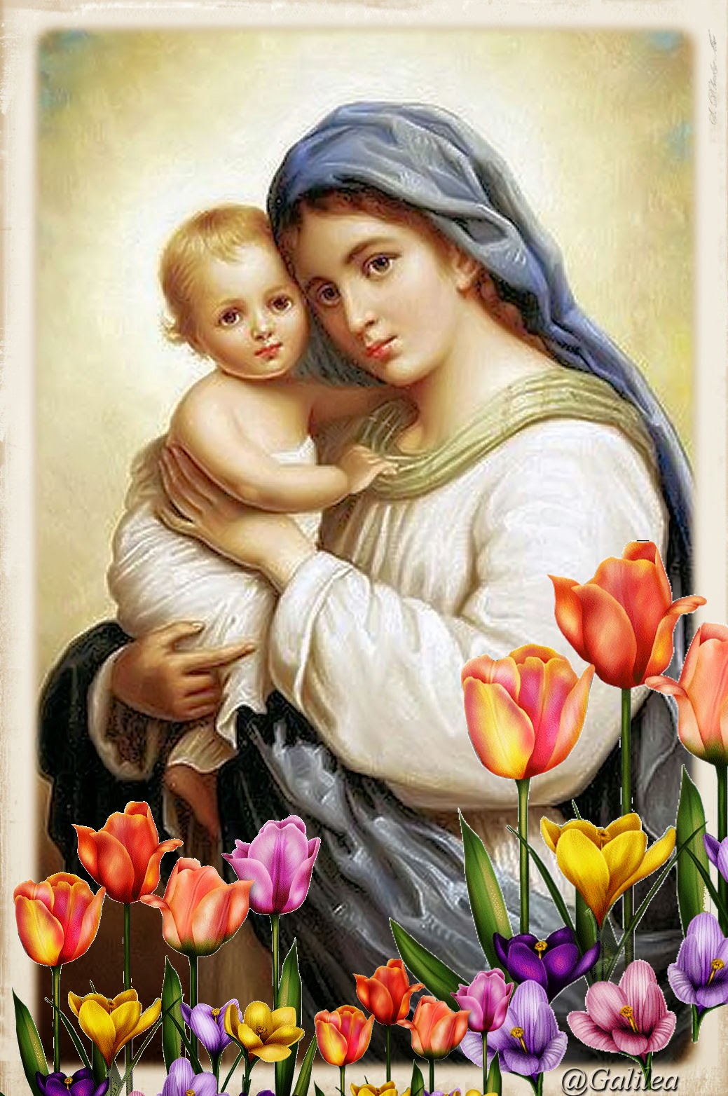 Virgen maria - projectswest