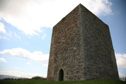 TORRE SAN MARTÍN DE HOYOS