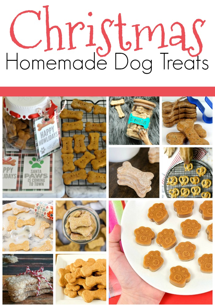 Christmas Tree Lane Homemade DIY Christmas Dog Treats