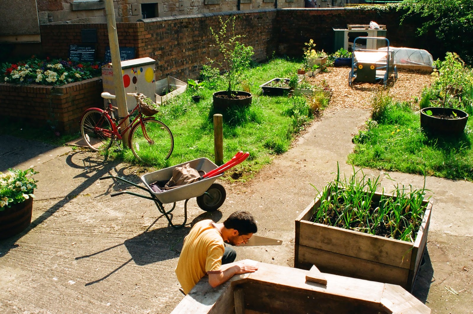 Willowbank Community Garden