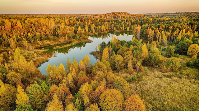 Desktop wallpaper autumn, forest, lake, backdrop