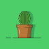 Design Process : Design a Cactus in Adobe Illustrator CC