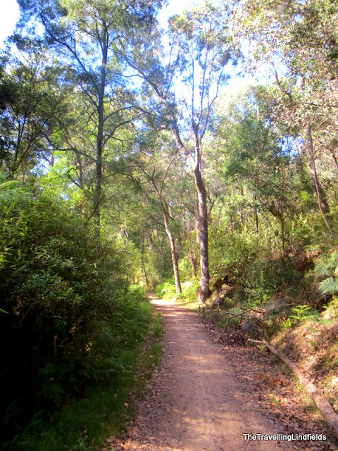 The Gippsland Lakes Discovery Trail