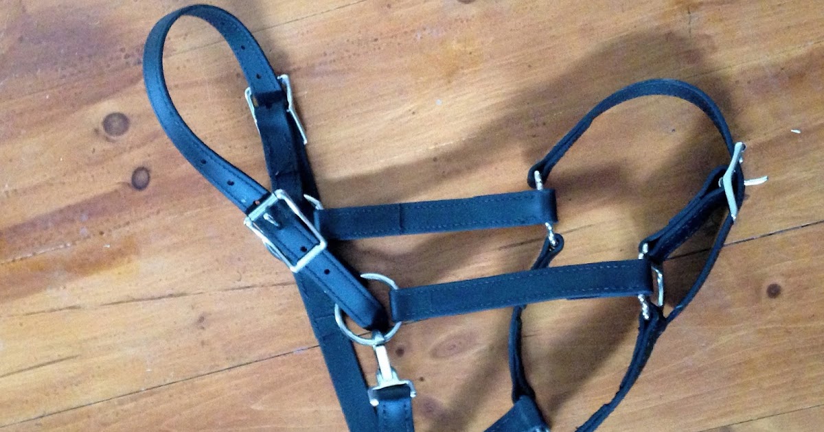 Journey with a Dancing Horse Two Horse Tack Buckle Nose Halter Review