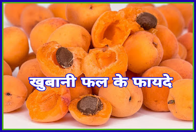 Apricots Fruit Facts In Hindi - खुबानी फल के बारे में हिंदी में जानकारी