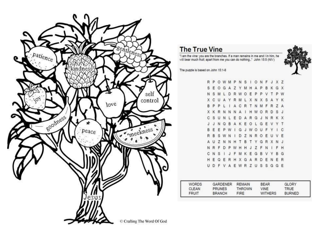 At Home Sunday School October 4th Restoration, the Vine & Branches
