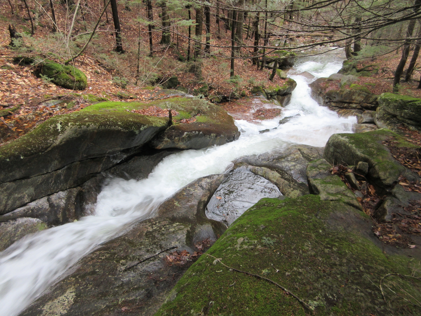 Mountain Wandering 2016