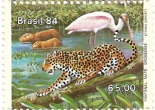 Selo Onça pintada no pantanal