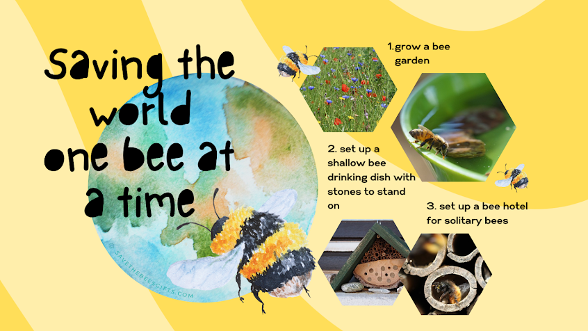 Save Bees Save World infographic