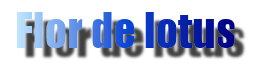 Image7.png