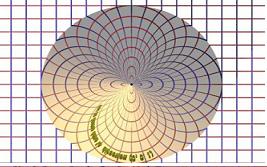 The Linear Action
