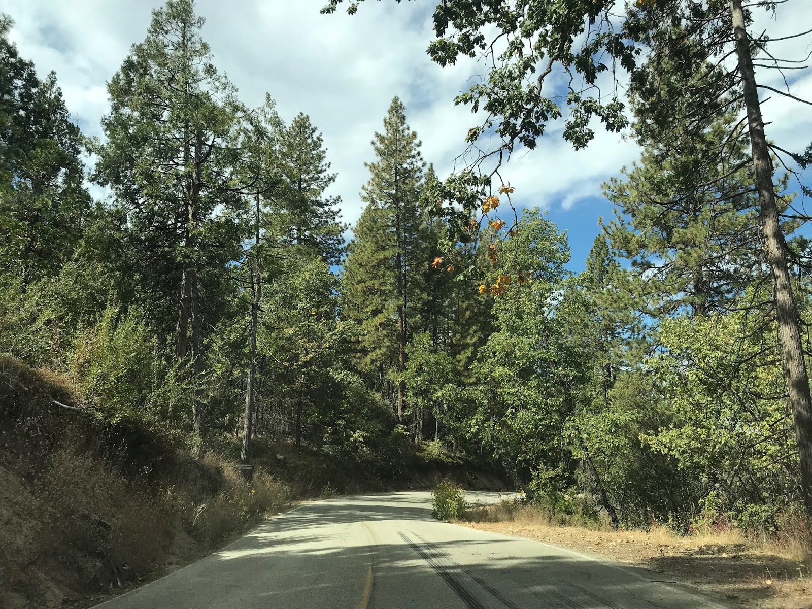 Auberry Road and the Wildflower Trail