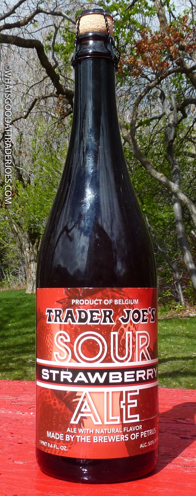 What's Good at Trader Joe's? Trader Joe's Sour Strawberry Ale