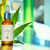 Top 10 Largest CBD Companies in the World
