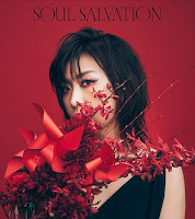 Hayashibara Megumi Soul Salvation Lyrics